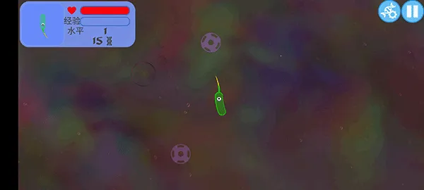 Evolution of Species