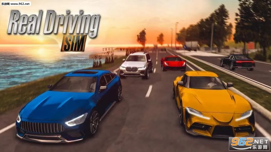 ��ʵ��ʻģ��3Dv2.5 ��Ѱ��ͼ