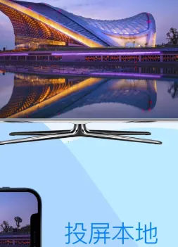 TVͶ������