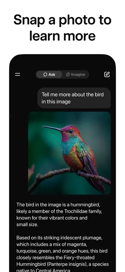 grok�Ƽ�ȫv1.1.02-release.00 ��Ѱ��ͼ