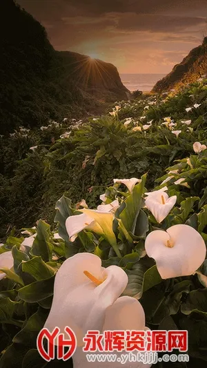 С�׻���vM923011200-S ��Ѱ��ͼ