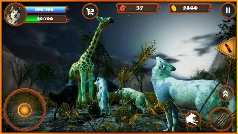 ����ģ����2026���ذ�װ