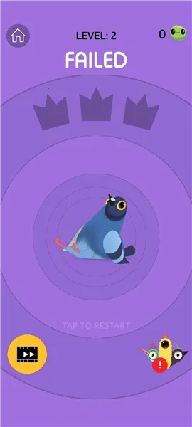 pigeon���ĸ���