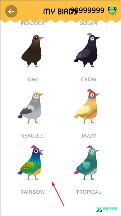 pigeon���ĸ���