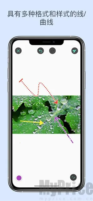 ��ע��ʦ��׿�߼���Ա��