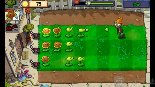 ׯ����ֲ���ս��ʬ