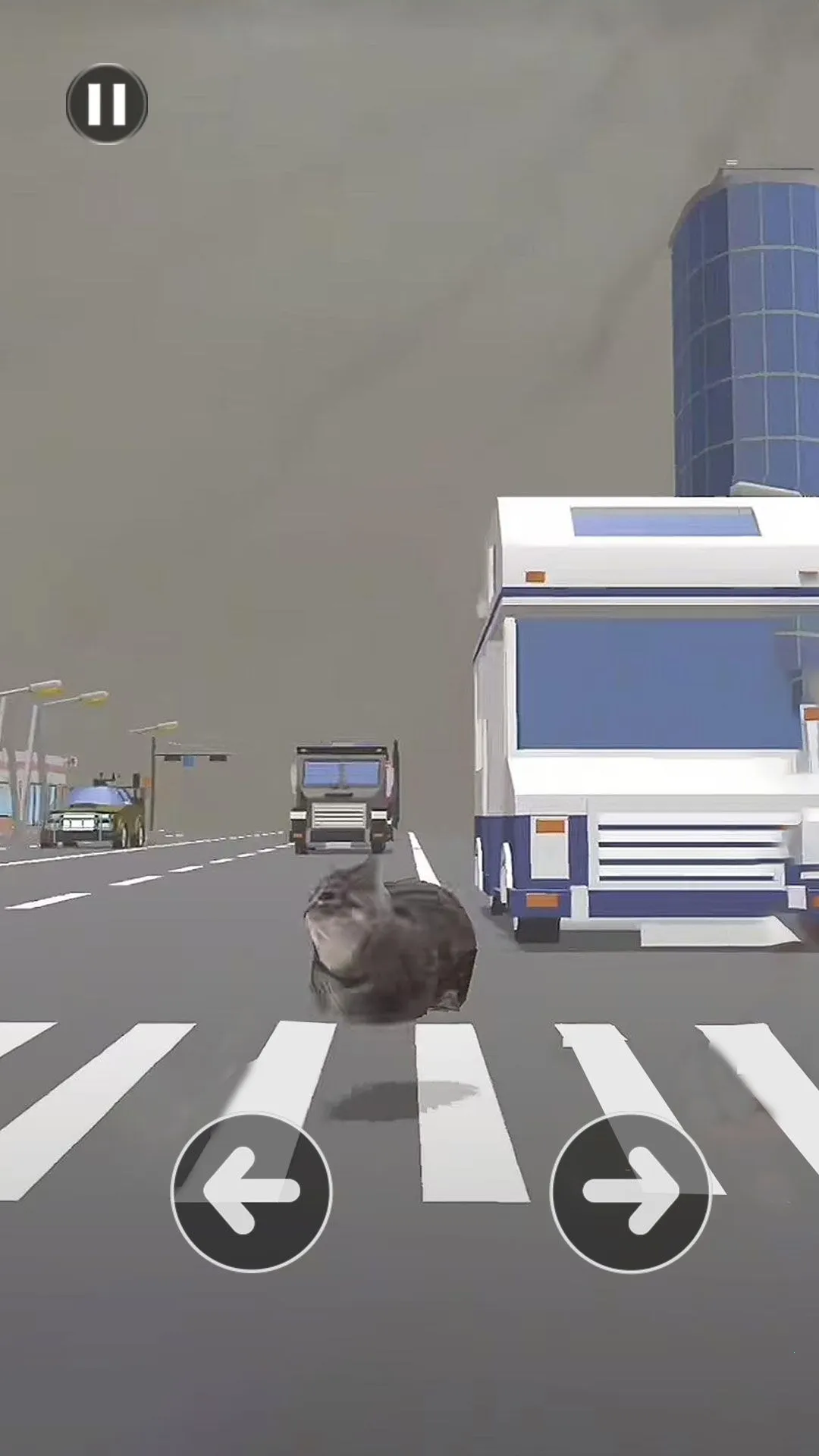 Сè����·2026�ٷ����°汾v1.1 �ֻ����ͼ