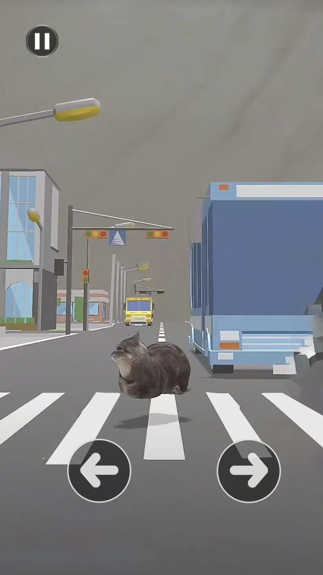 Сè����·2026�ٷ����°汾v1.1 �ֻ����ͼ