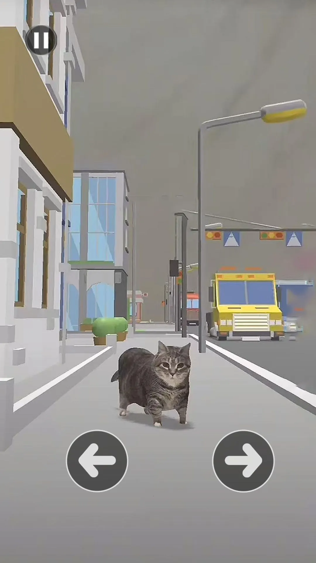 Сè����·2026�ٷ����°汾v1.1 �ֻ����ͼ