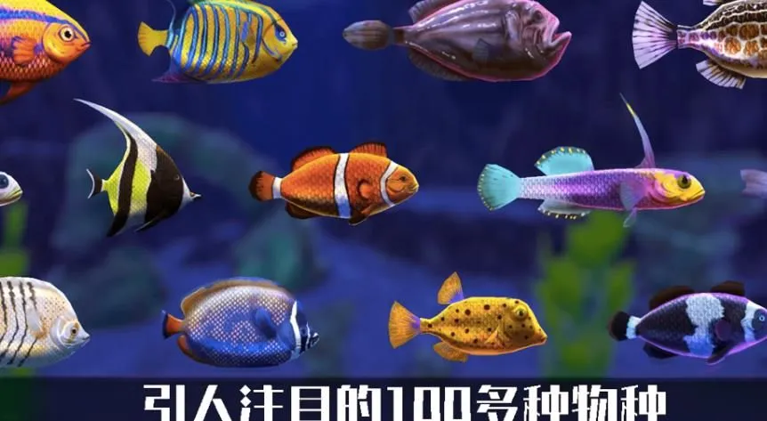 ����ˮ��2026�ٷ�����v1.0 �ֻ����ͼ