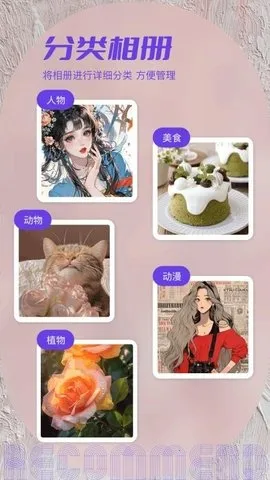 ˽���ಾ2026�ٷ����°汾