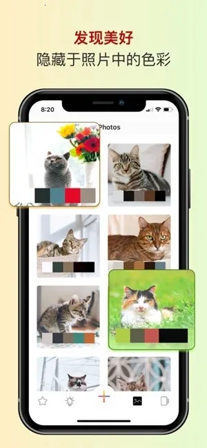 ɫ��ɫ������2026�ٷ�����v2.5.38 ��׿���ͼ