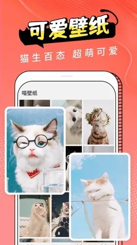 Cat Translation2026�ٷ����°汾v3.1.5 �ֻ����ͼ