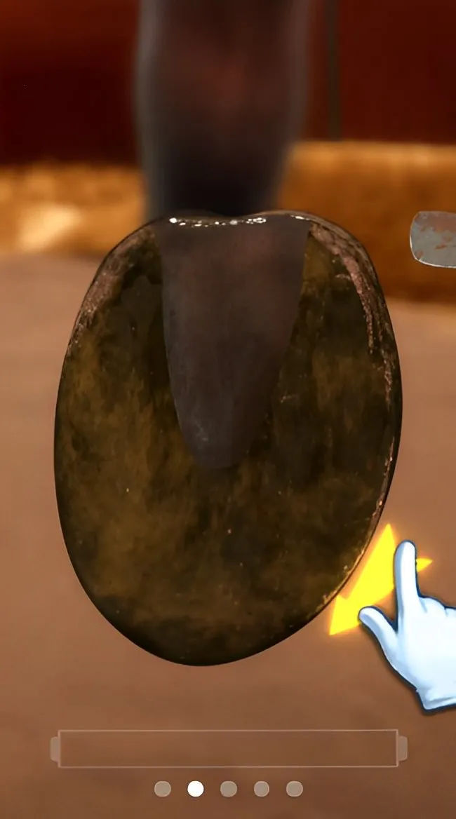 ����Ҳ������°汾3.8����v1.0.0 ��׿���ͼ