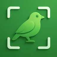 ʶ��2026�ٷ�����