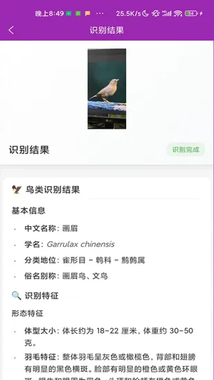 ʶ��2026�ٷ�����v1.1.0 �ֻ����ͼ