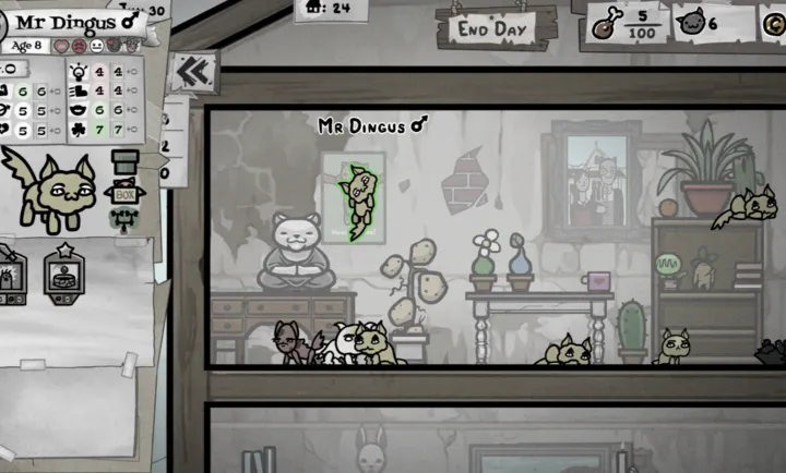 �����Ľ�ϣ�����PC���԰�2026���°汾v1.0 �ֻ����ͼ