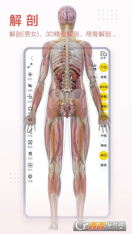 3dbody��������v8.8.72 �ٷ������ͼ