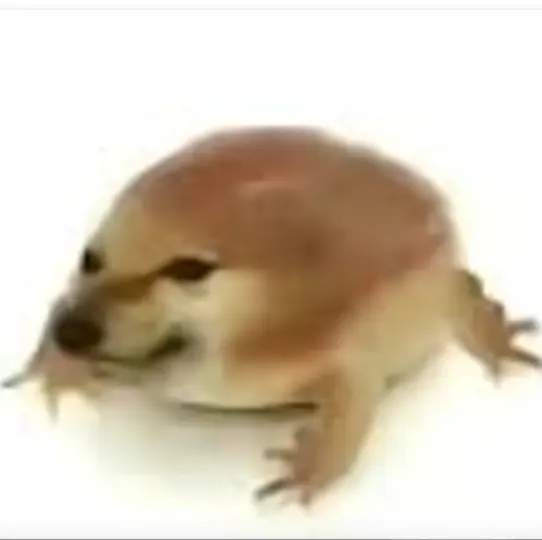 �ҵĵ������ư�(���ܹ���)v1.0 ��׿���ͼ