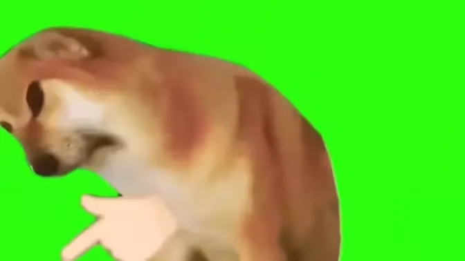 �˸�ѽ·2026�ٷ�����v1.0 ��׿���ͼ