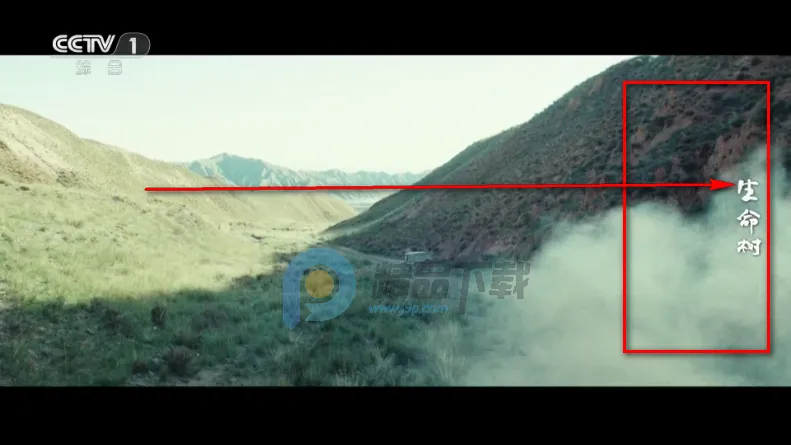 �������TVֱ�����°汾