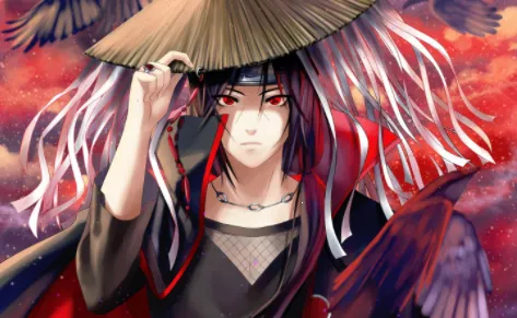 boylove(�����Ķ�ƽ̨)