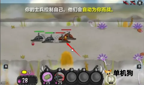 ���Ů�������������