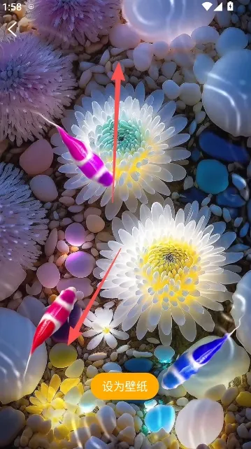 锦鲤金鱼壁纸2026官方正版 锦鲤金鱼壁纸2026官方正版