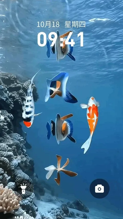 锦鲤金鱼壁纸2026官方正版 锦鲤金鱼壁纸2026官方正版