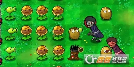 ֲ���ս��ʬ��Ӱ��2026���°汾v5.0.5.0 �ֻ����ͼ