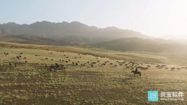 ȫ�ۺ�TV(���ܵ��Ӳ�������)