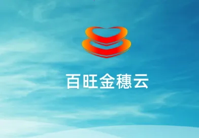 ����������(��˰����ƽ̨)