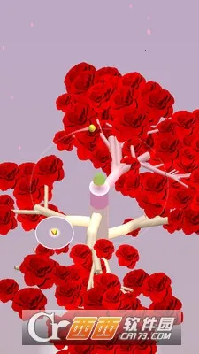 ��ת֮�������ֻ���v1.2.0 ��׿���ͼ