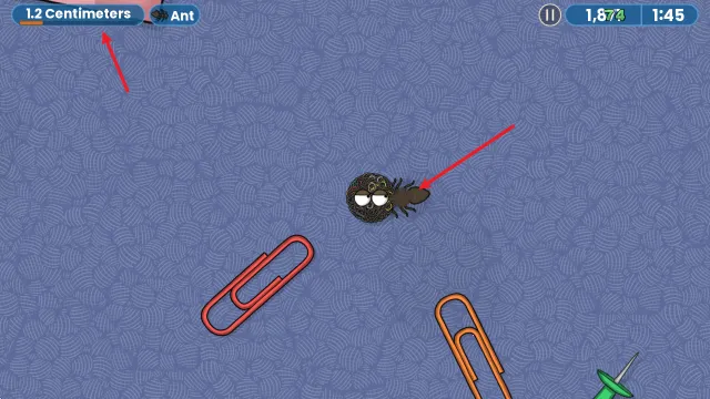 ��ζ�����ռ�һ�����İ�