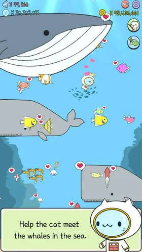 ˮ��è���İ�2026�ٷ����°汾v1.0.1 �ٷ������ͼ