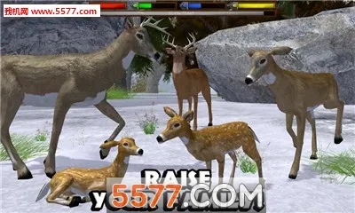 ForestSim2026���ذ�װv1.2 ��׿���ͼ