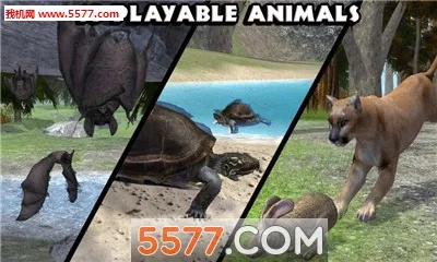 ForestSim2026���ذ�װv1.2 ��׿���ͼ