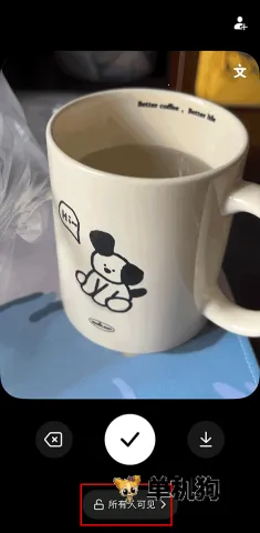 ����(����Ƶ�罻����)