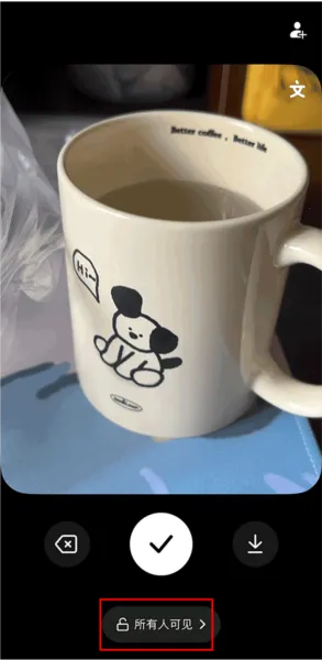 ����(����Ƶ�罻����)