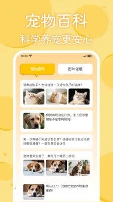 è�������﷭����2026�ٷ����°汾v1.0.2 �ٷ������ͼ