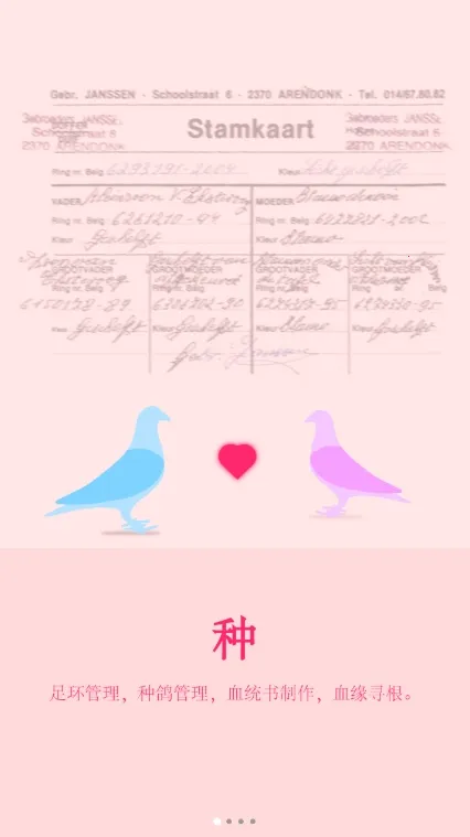 ���¸���(�Ÿ뽻��ƽ̨)v2.0.6 ��Ѱ��ͼ