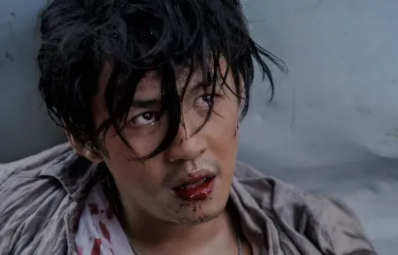 �����Ƶ2026�ٷ�����