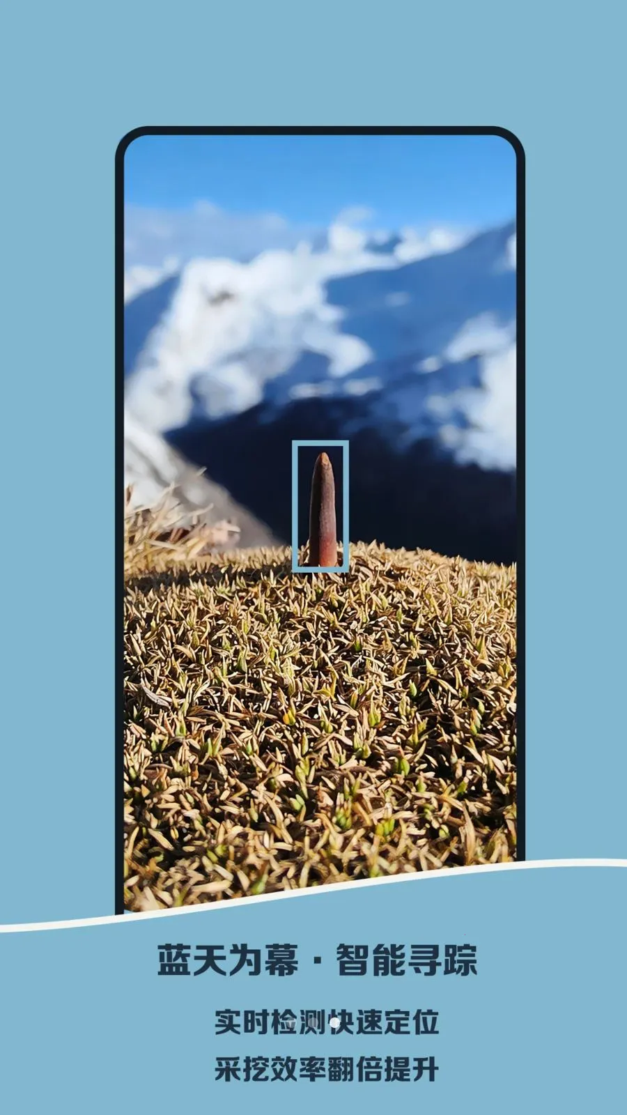 Norbu�ڳ������2026�ٷ����°汾v1.0 ��׿���ͼ