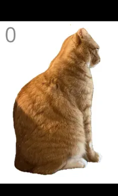 ��è��ë2026�ٷ����°汾v1.0 �ֻ����ͼ