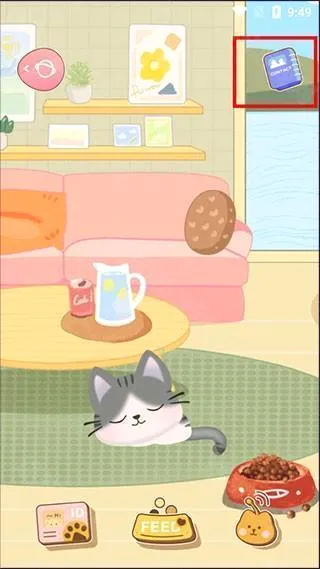 XEVA(�����罻����)