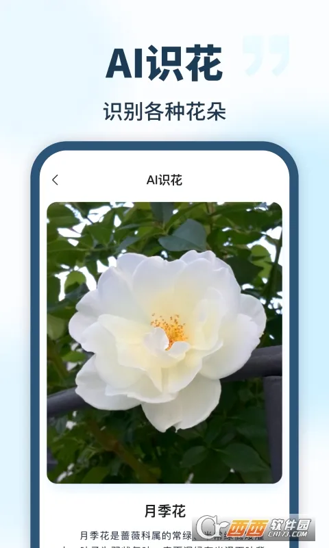 AI��������(�๦��AI����)v1.0.0 ��׿���ͼ