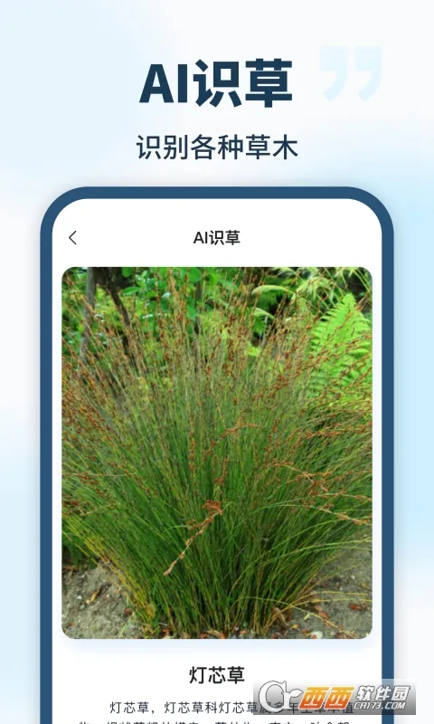AI��������(�๦��AI����)v1.0.0 ��׿���ͼ