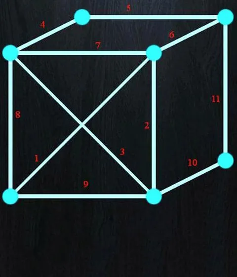 һ�ʻ�