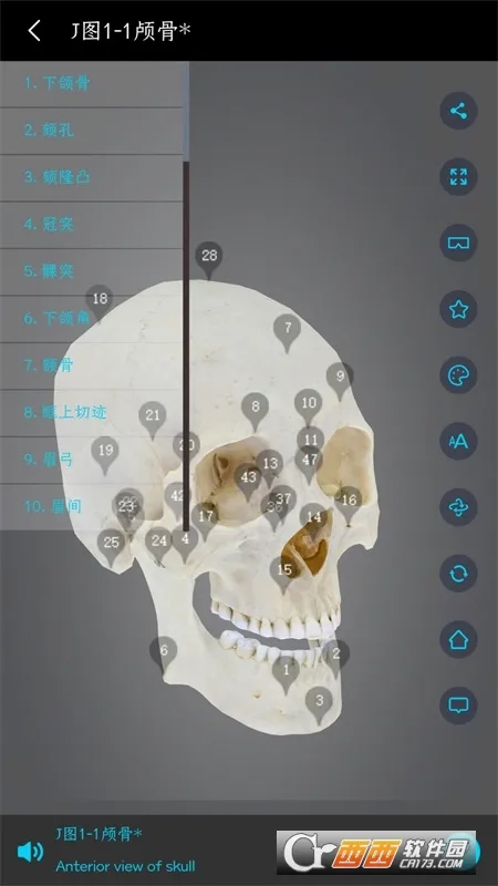 ҽά�Ƚ���2026���°汾v3.3.22 ��Ѱ��ͼ