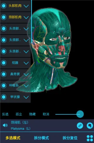 ҽά�Ƚ���2026���°汾